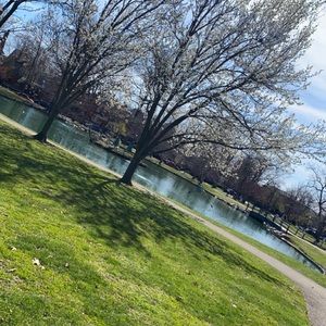 Meet your Posher, Lubna